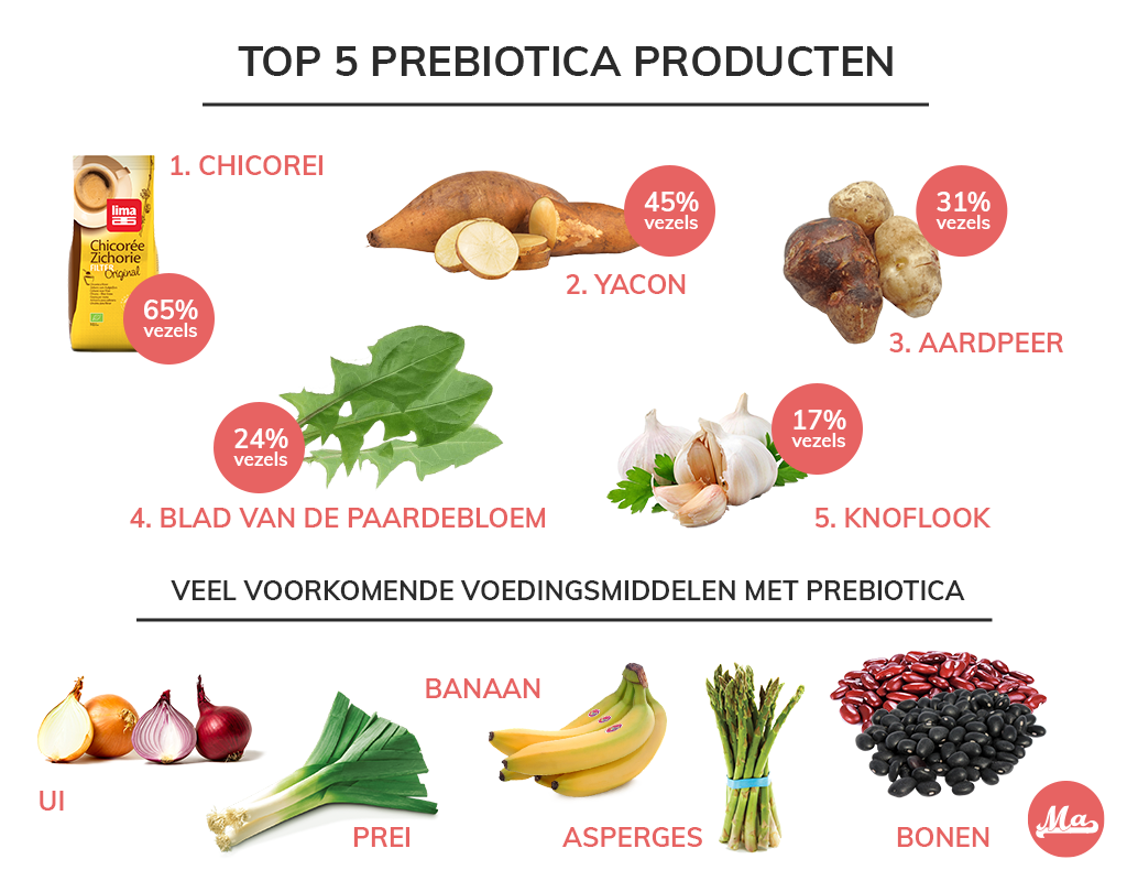 Lijst van de beste prebiotica voeding