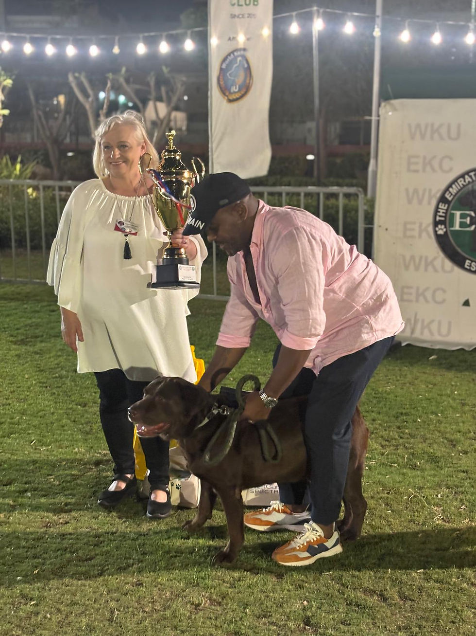 Puppyloveindubai dog awarded Trophy best in Show WKC - World Kennel Champion - in Dubai UAE