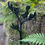 Thumbnail: Flax flowers spike with tui