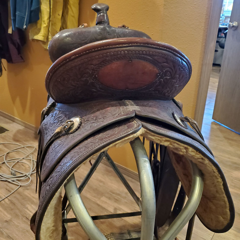Thumbnail: RILEY & McCORMICK #301 SADDLE -WON IN CALGARY- ORAL ZUMWALT