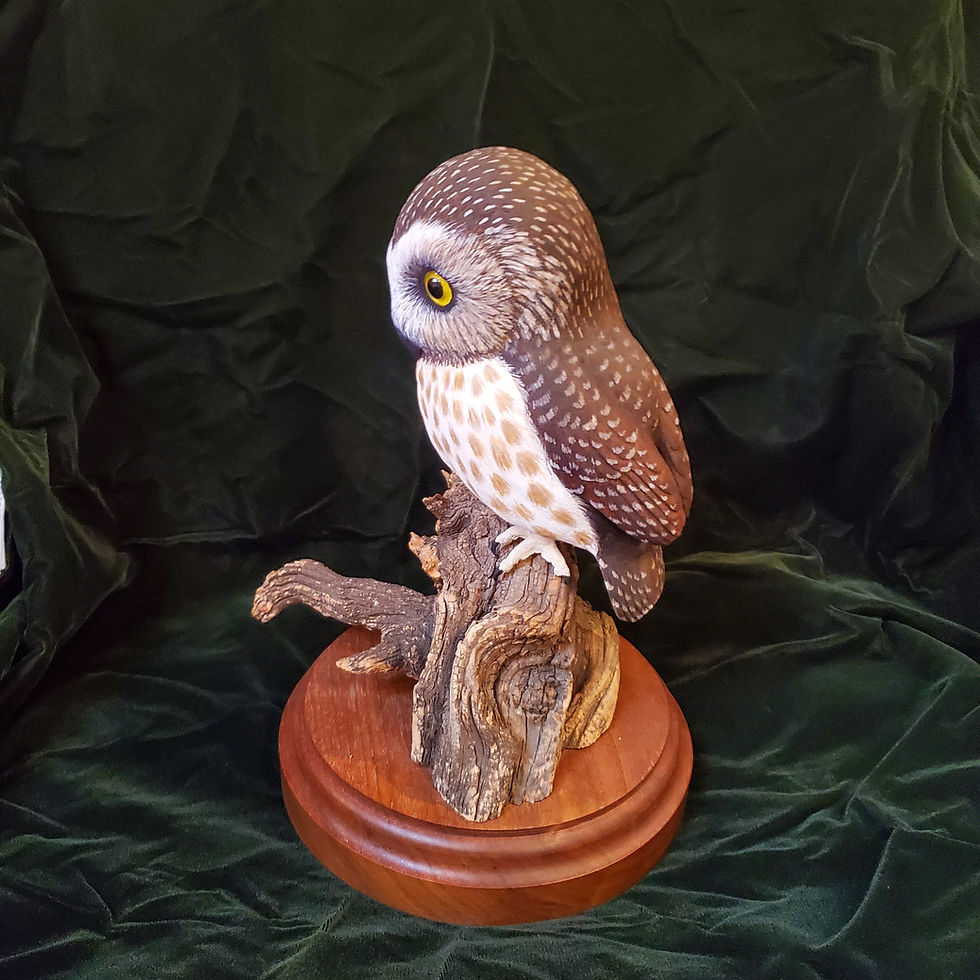 Thumbnail: CONNIE TVETEN HAND CARVED WOOD SAW WHET OWL