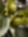 IMG_4652.jpeg