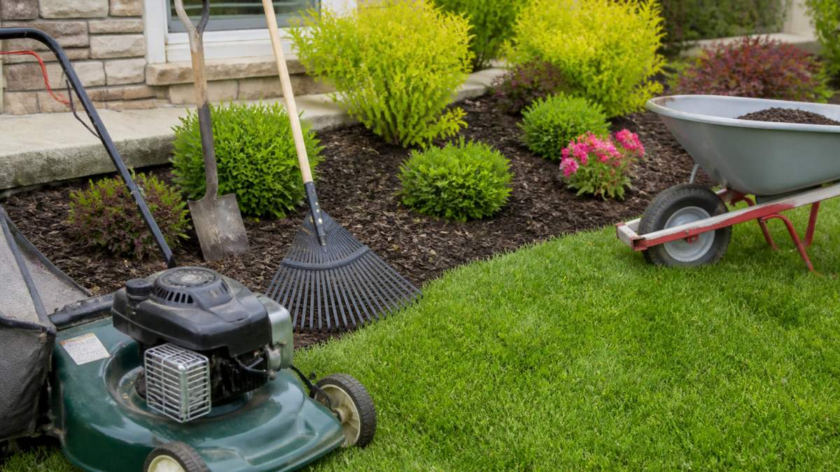 Professional Landscaping Services in Muncie: What to Know