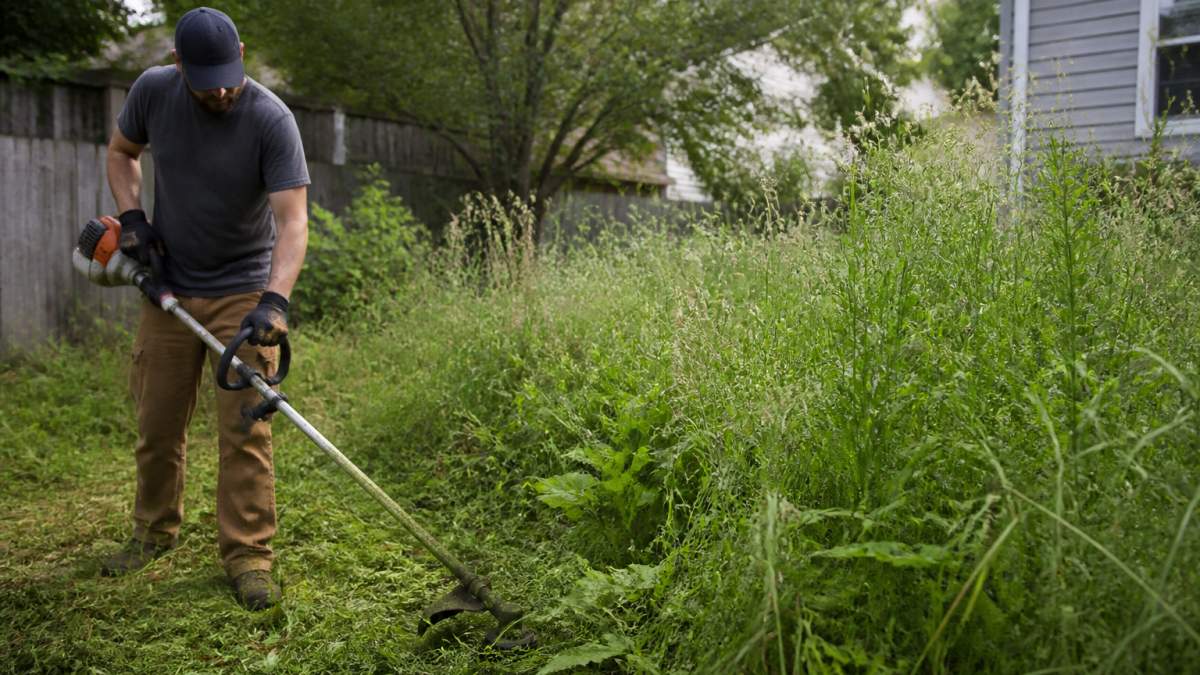 How to Restore an Overgrown Yard: A Step-by-Step Guide