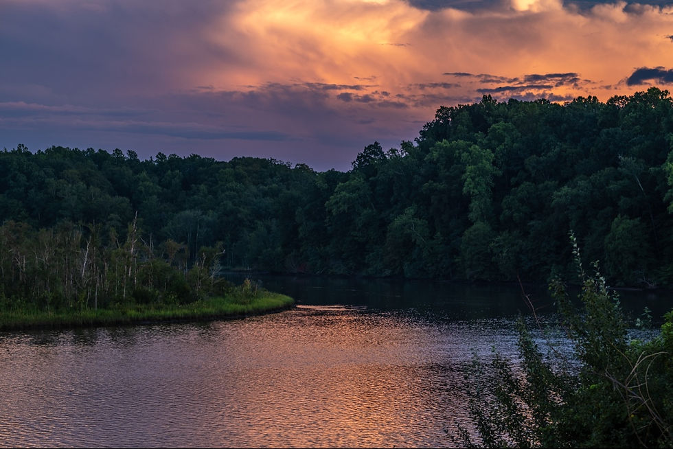 Mattaponi Forest