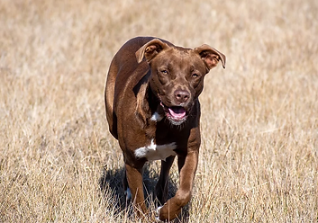 K9K_8087.webp