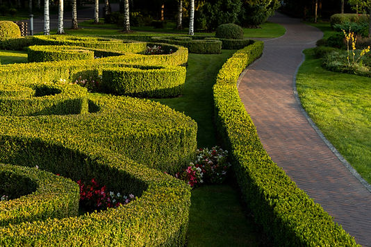 Landscaped Garden