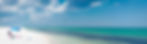 shutterstock_686902252.jpg