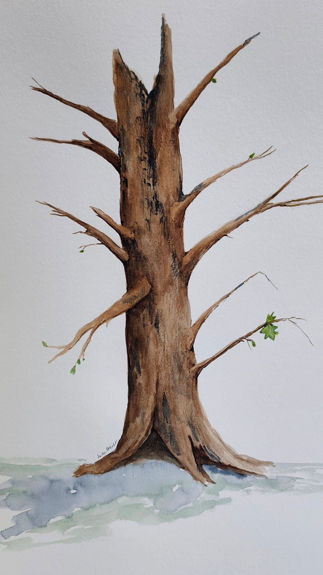 On Display in the Community Original - Two Years After the Burn