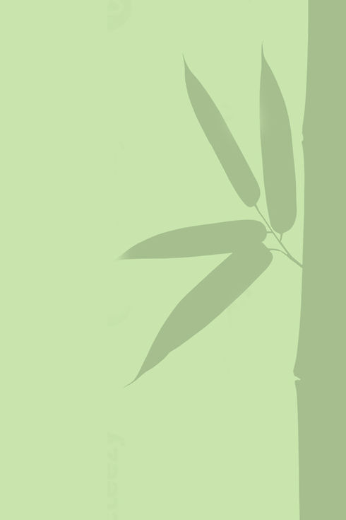 bamboo bg3.jpg