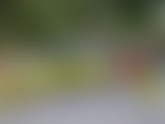 CAN U17 Maroc 2026 : La RDC affronte la Côte d’Ivoire ce soir à 20H00.