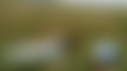 RDC : LE CRASH D'UN AVION DE TRACEP CONGO AVIATION FAIT UN MORT, LE COPILOTE RETROUVÉ VIVANT