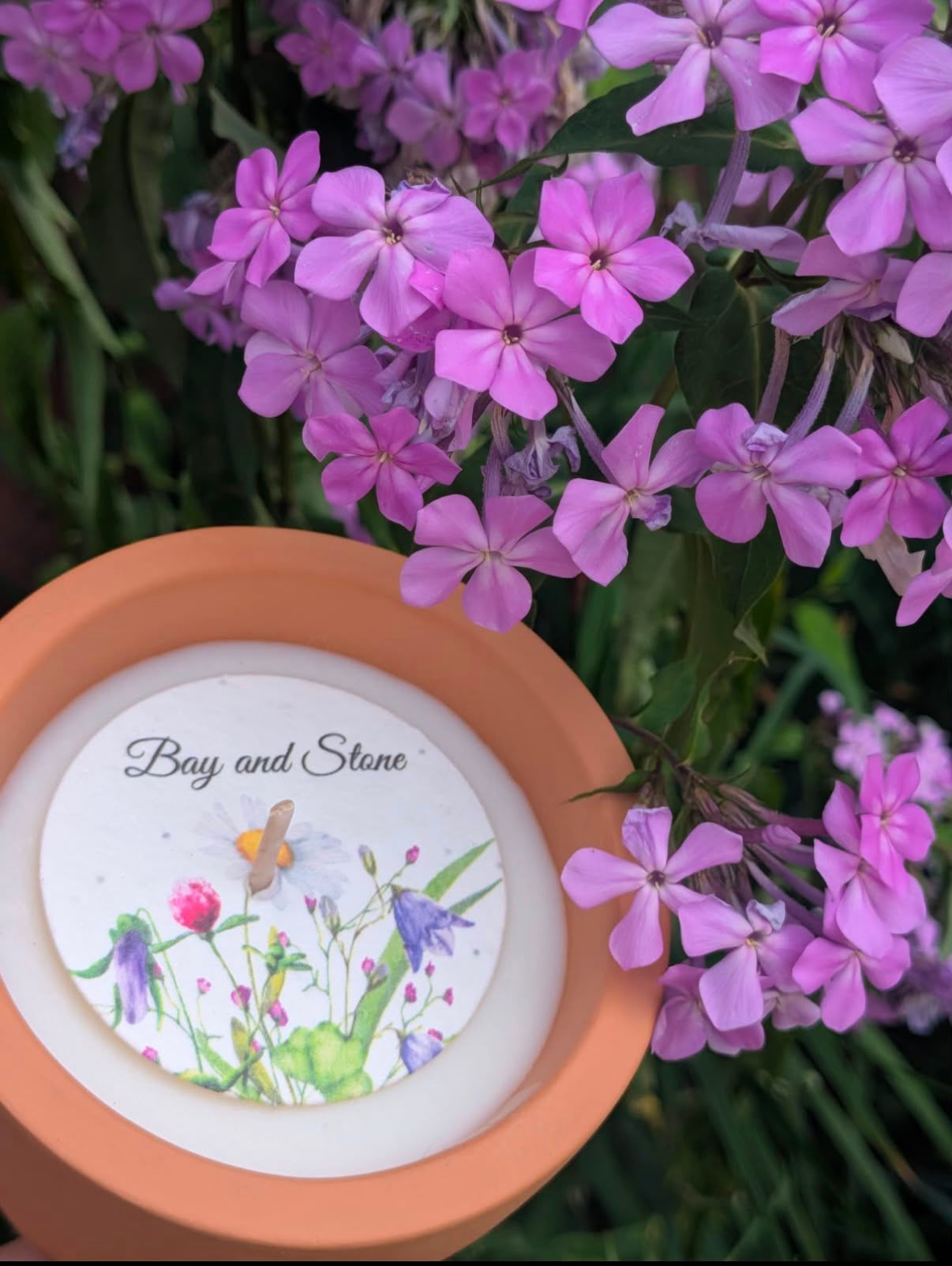 The Walled Garden | Earl Grey & Cucumber Soy Candle