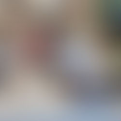 2026.01.26圖書館閱讀時光