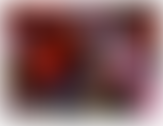 Sending our Thanksgiving Greetings from SHWS!