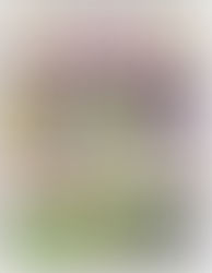 Lisa Fulmer’s Craft Your Stash Today at SHWS + 2 Giveaways!