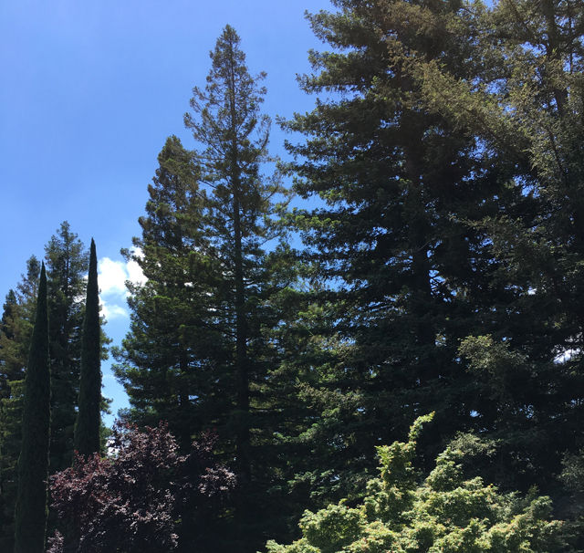 Getting Back on Track