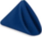 17"x17" Navy