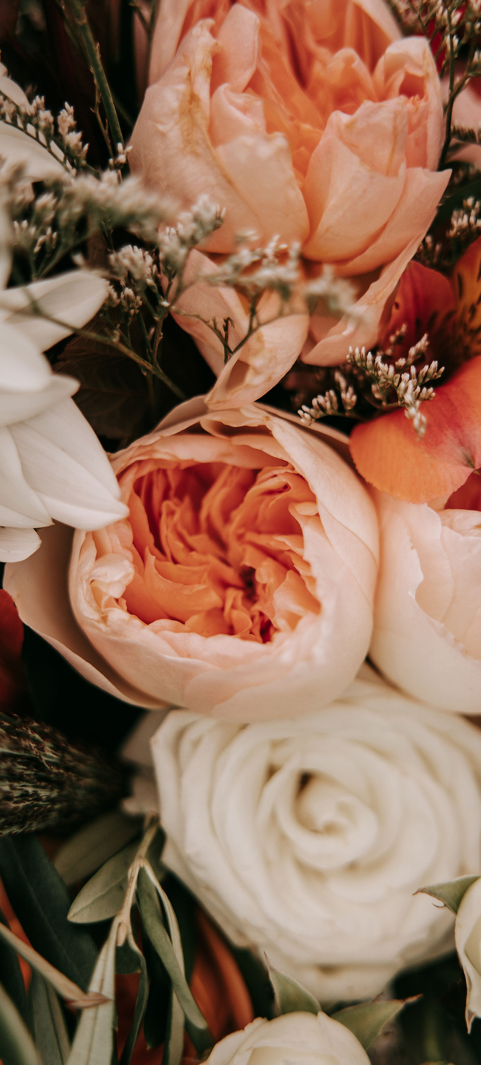 shayna-dalton-wed-58.jpg