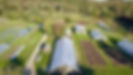649C2631-A887-480A-8592-FBEE5145A65F_1_105_c.jpeg