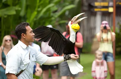 Bali lintupuisto