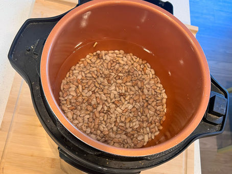 Instant Pot Pinto Beans