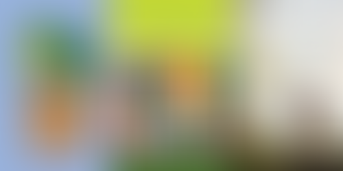 Food for Thought: The Just Food Book Club