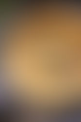 Just Cook: Creamy One Pot Mac and Cheese