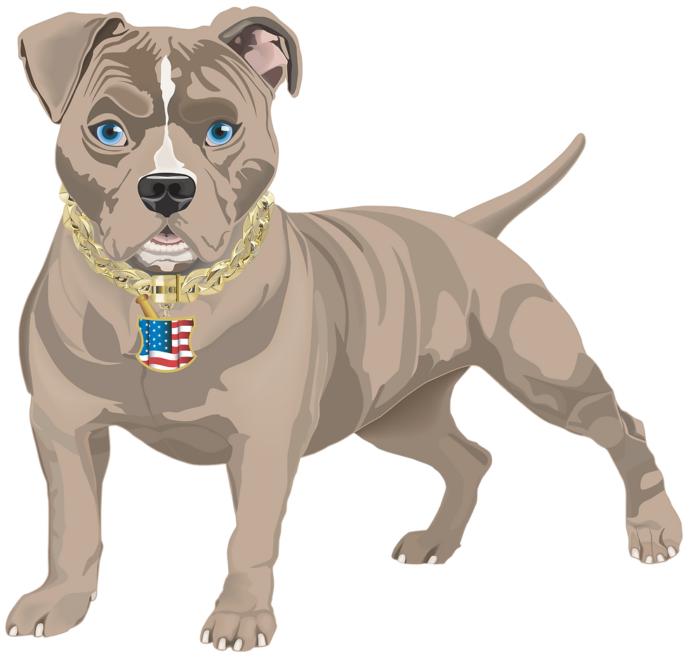 Be a PUTTbull
