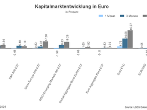 Monatskommentar Faktor - November 2025