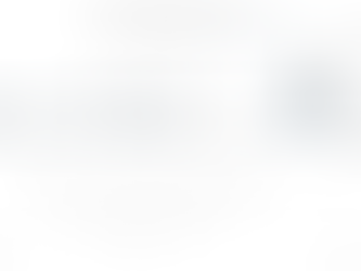 Monatskommentar Faktor - November 2025