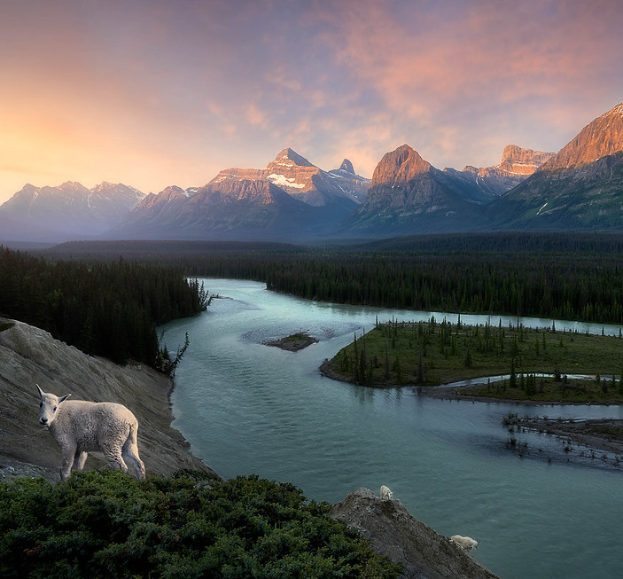 _DSC3157-Edit-2.jpg
