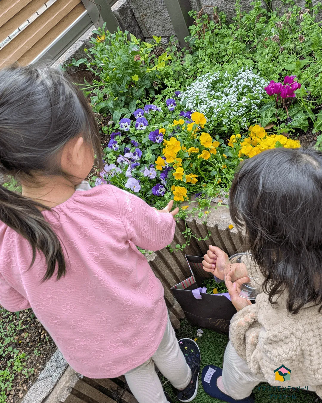 花壇の花を観察する子どもたち