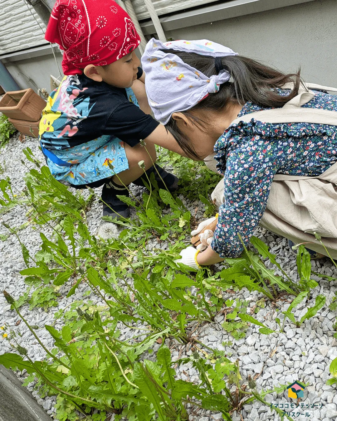 草むしりをする子どもたち