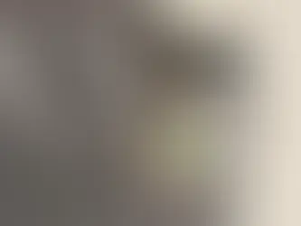 お散歩ジョイのめじるしアクセサリー