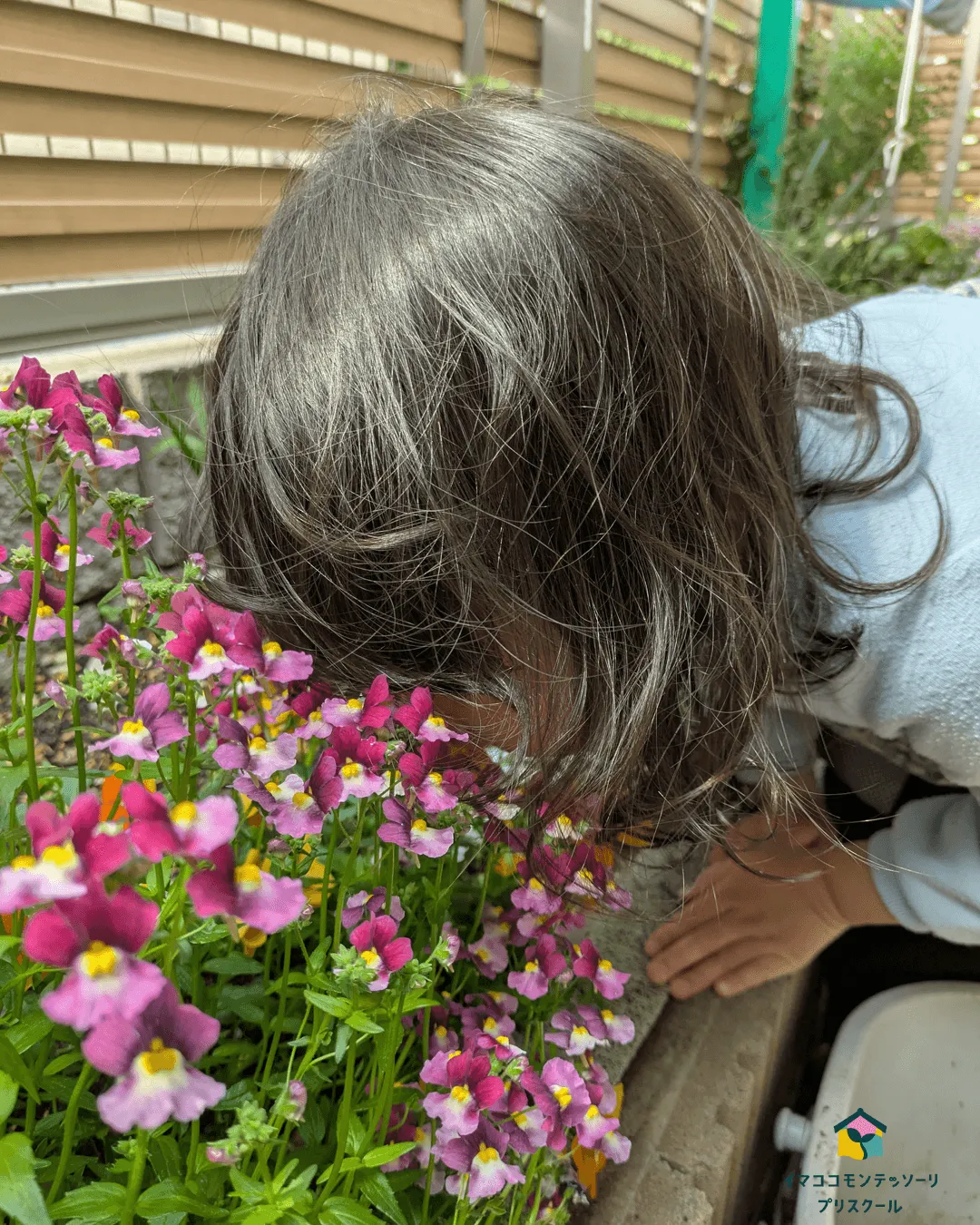 お花の香りを匂って感じます