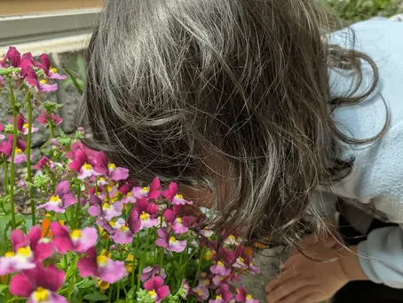 2025年4月のお仕事