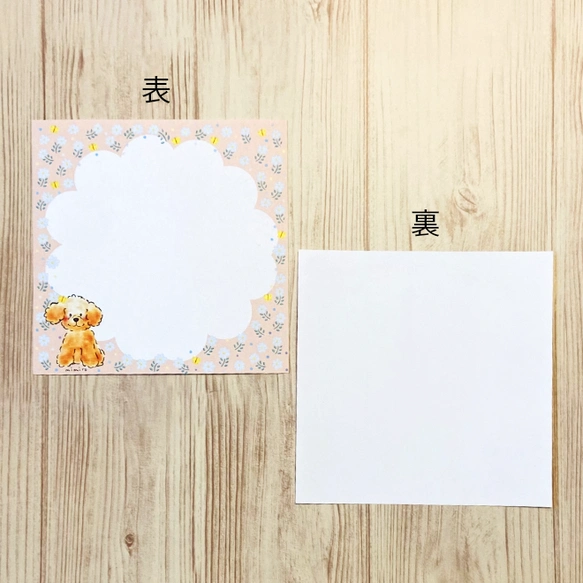 memo pad pu-pu-pu- アプリコット 裏・表