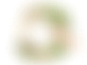 年間第11主日