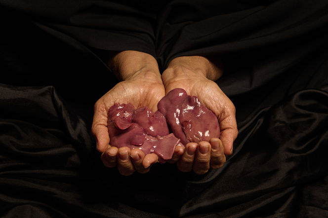 סתיו ברקאי צלמת אמנית