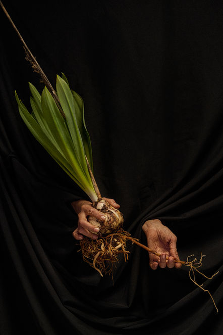 סתיו ברקאי צלמת אמנית