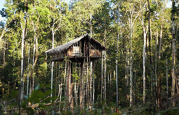 img-papua-korowai-at-home-east-indo-explorer.jpg