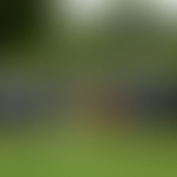 SC Winterthur United feiert historischen 20-Siege-Lauf und Aufstieg – Teamgeist und Vielfalt prägen die Erfolgssaison 2024/25.
