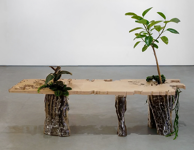 Photo Oct 27 2025, 2 49 36 PM_edited.png