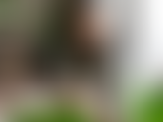 ภาพประกอบจาก WIX