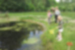 Ecoglamping De Krekelwei