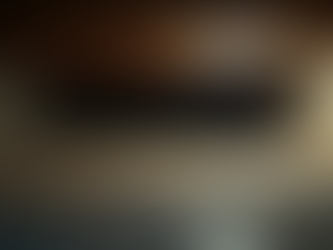 Hidden Dangers in Your Crawlspace What Problems Could Be Lurking Below