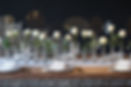 DSC08891.jpg