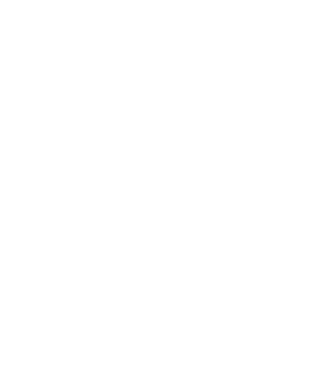 oksat_armi_valk.png