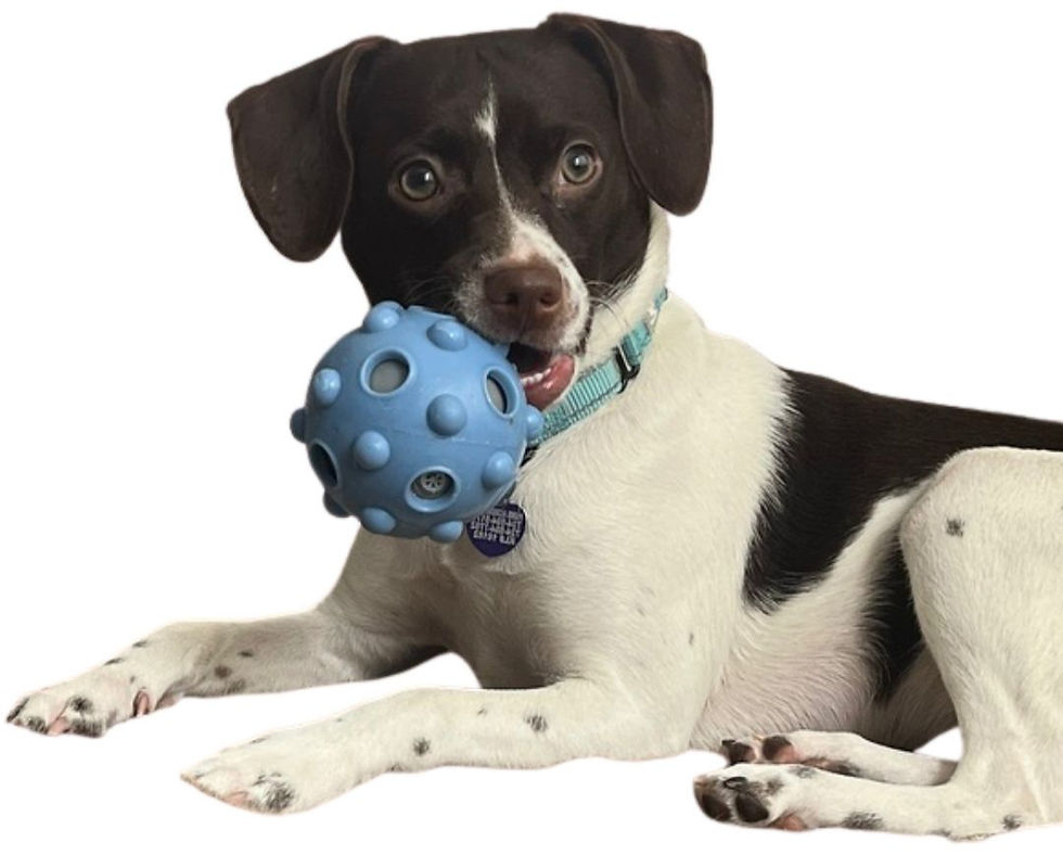 Flyer - Unleashing Opportunities in Real Estate (1)_edited.jpg